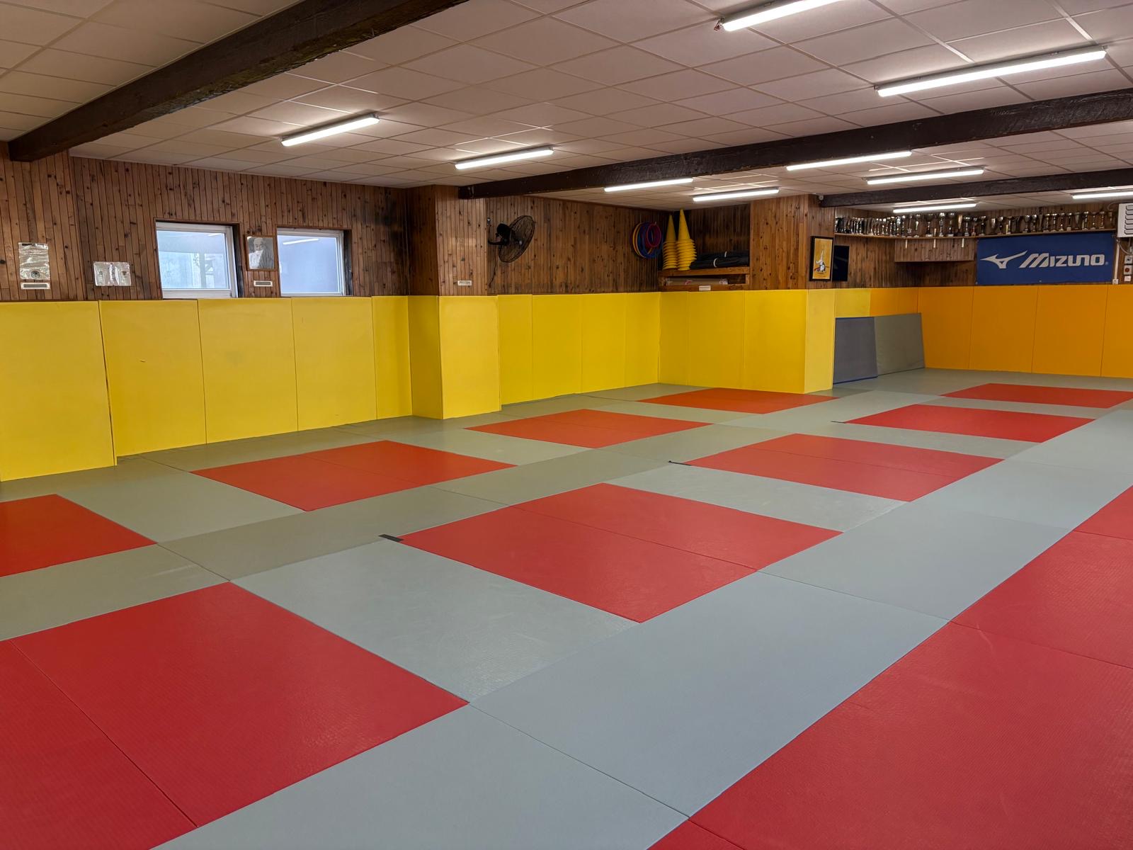Tatami vu depuis le fond